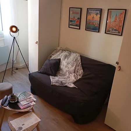Le Cocon Valade- Quai De Garonne - Wifi - Bureau Toulouse