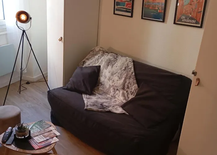 Le Cocon Valade- Quai De Garonne - Wifi - Bureau Tolosa